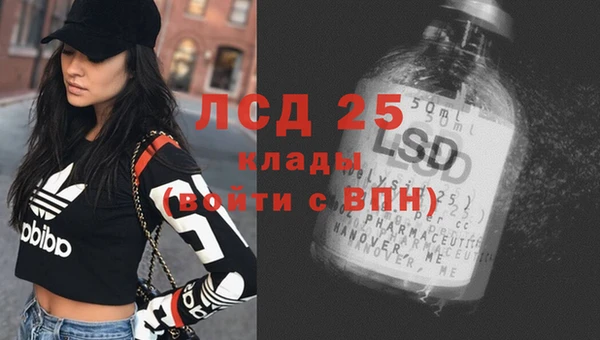 гидропоника Алзамай